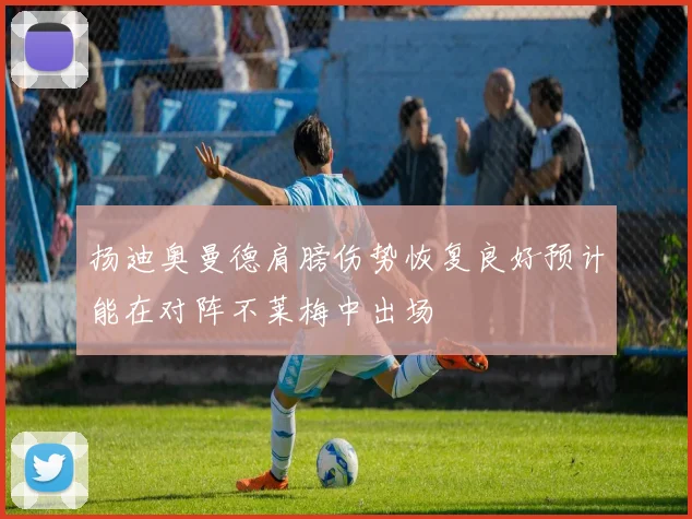 扬迪奥曼德肩膀伤势恢复良好预计能在对阵不莱梅中出场
