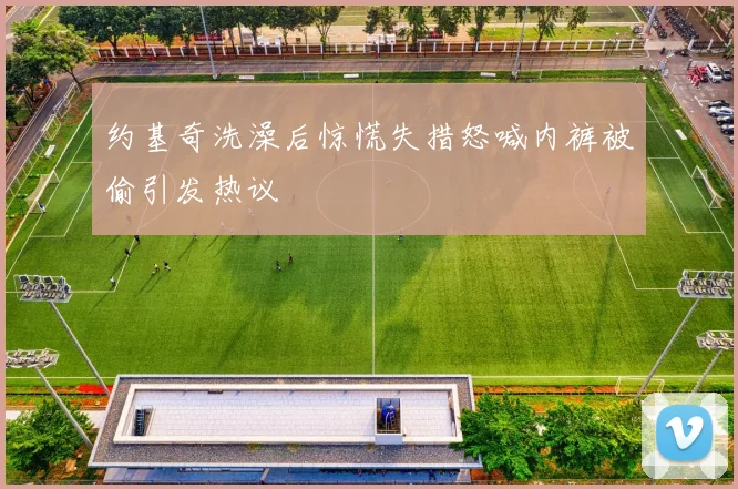 约基奇洗澡后惊慌失措怒喊内裤被偷引发热议